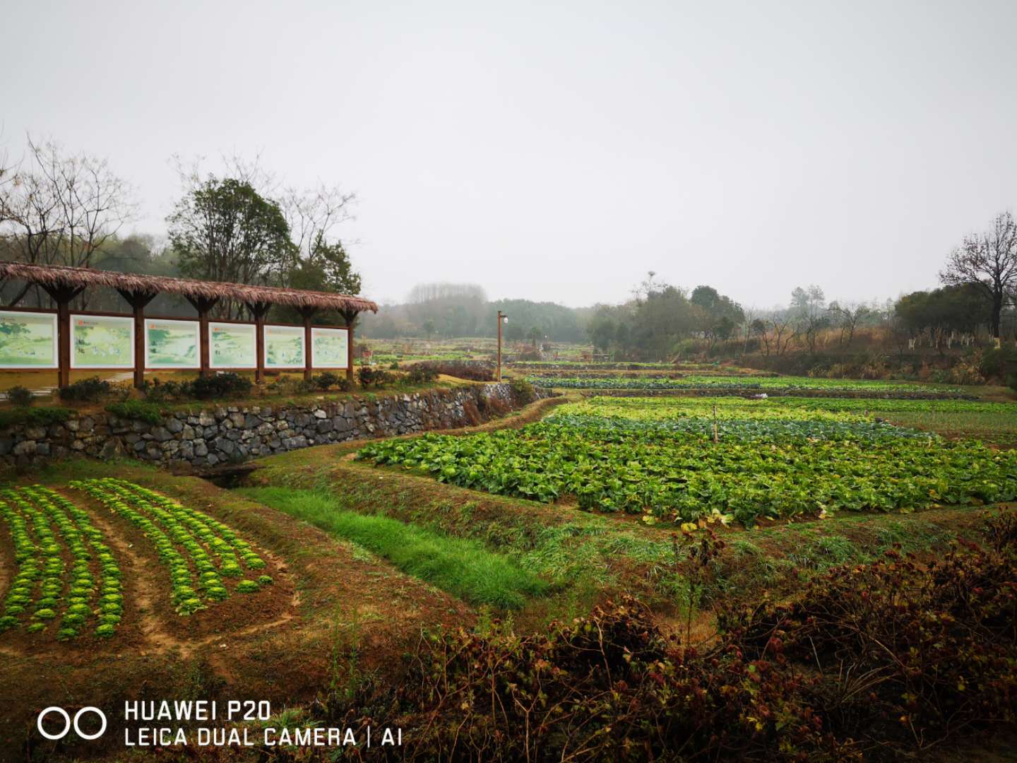 beautifulprettyhandsome区别,goodlooking与beautiful区别