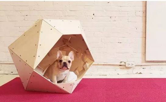 自制宠物狗窝简单,旧衣服怎么给狗狗做个窝