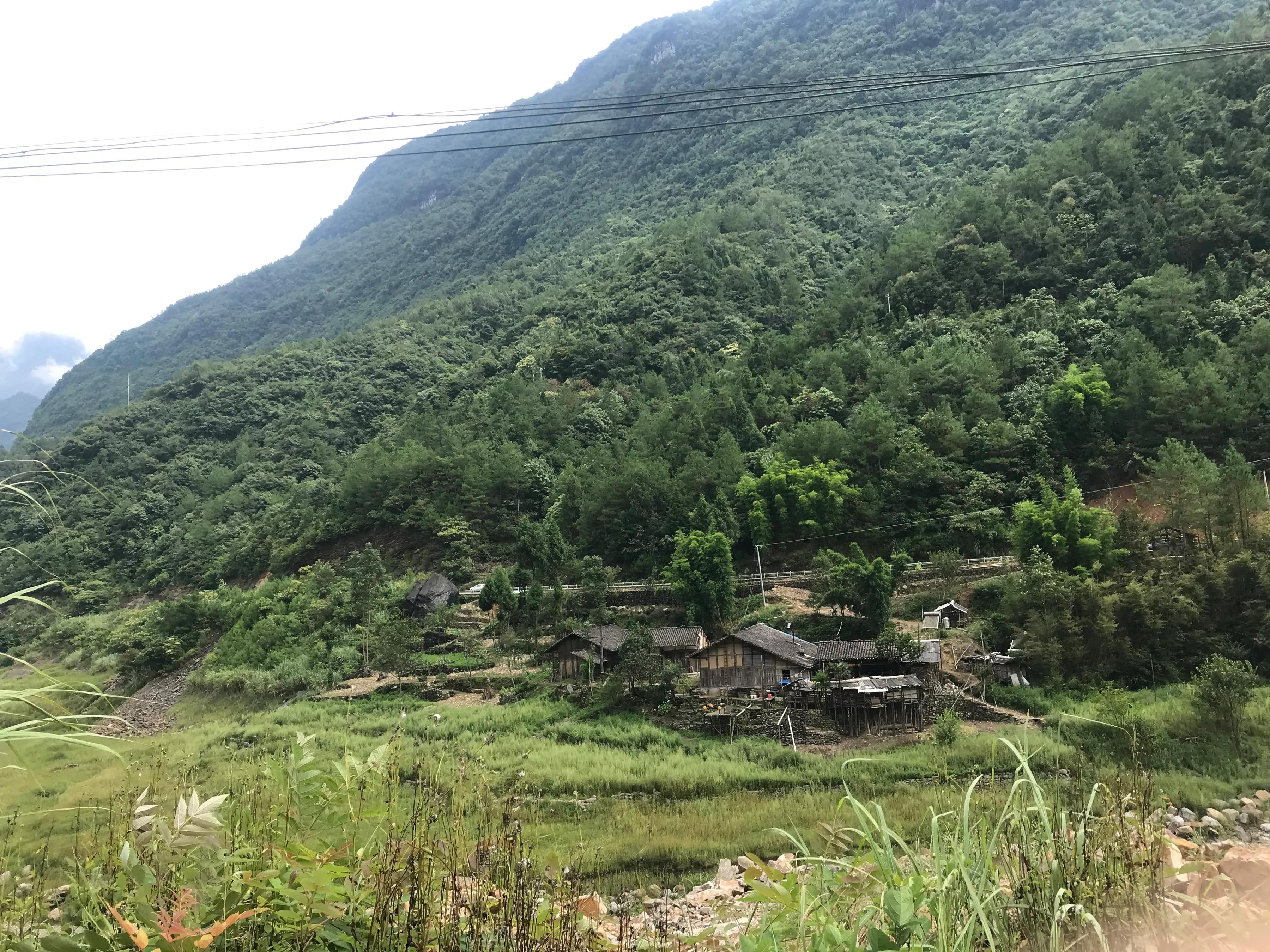 山远近路横斜读音,山远近路横斜青旗沽酒有人家意思