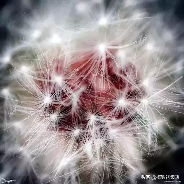 胎儿后期发育慢是什么原因,怀孕后期羊水少是什么原因