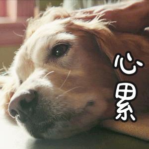 惠州市惠阳区新圩镇假酒案,惠阳假酒