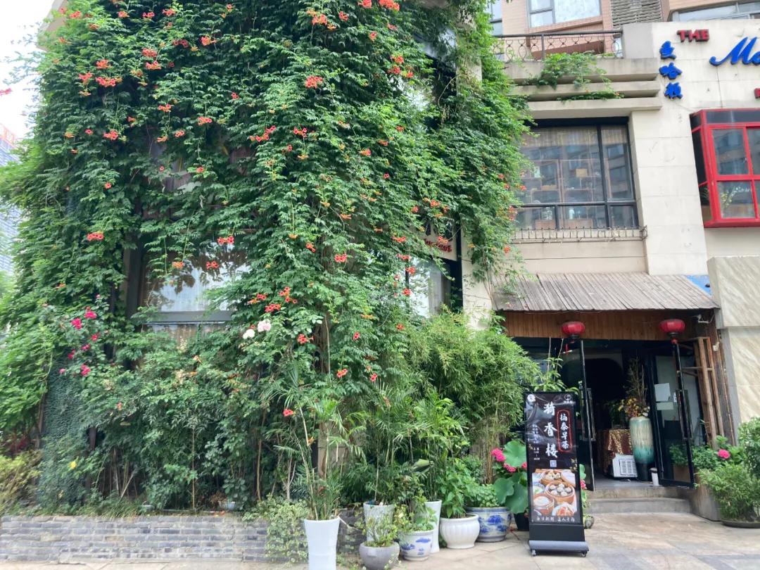 南京市里哪里有好吃的扬州早茶,南京的扬州早茶店都有哪些