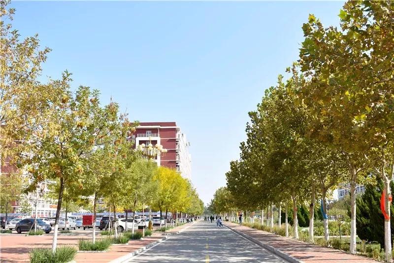 天津医科大学七所直属医院,天津医科大学独立学院是几本