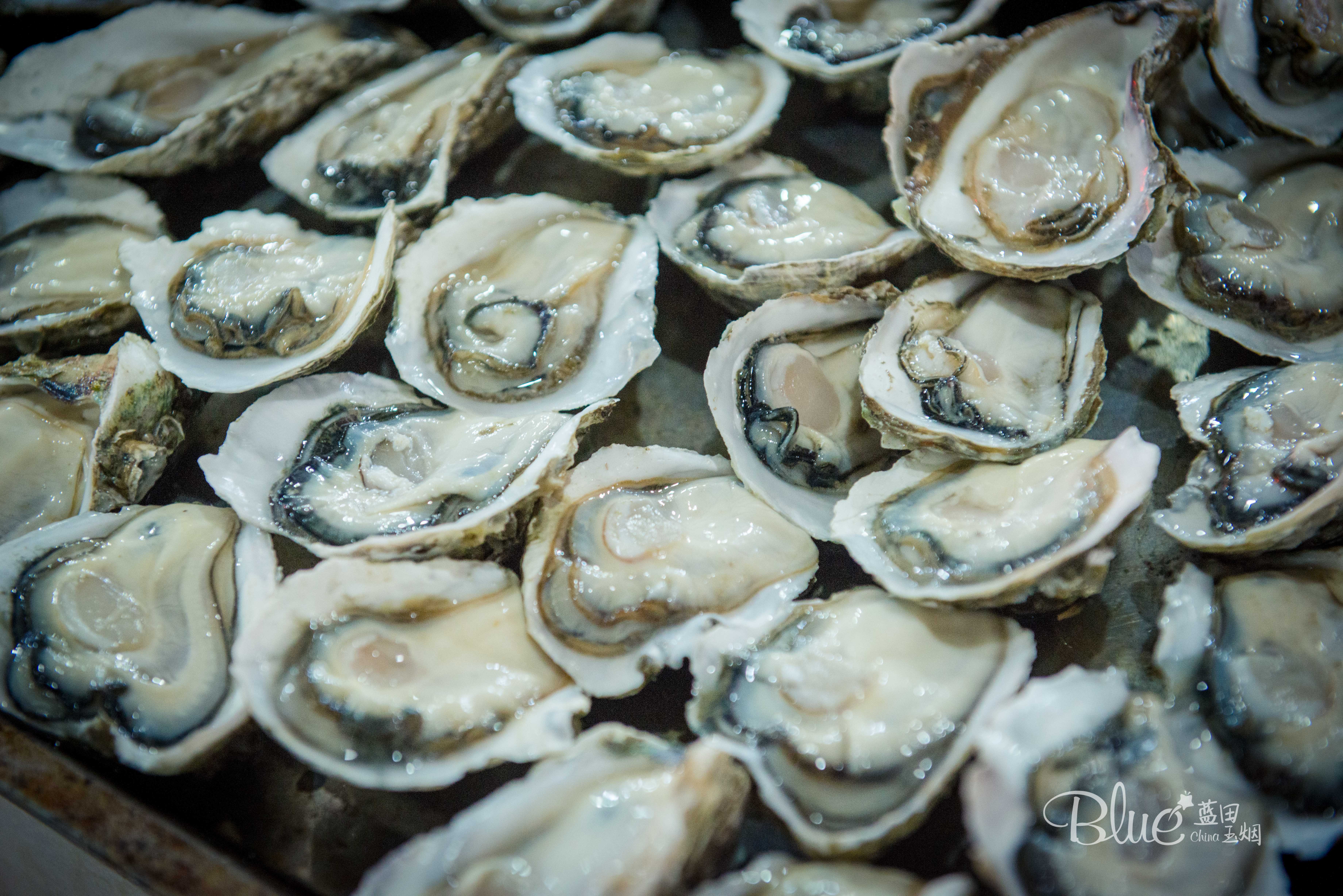 海口海鲜市场哪里比较好,海口板桥海鲜市场海鲜新鲜吗