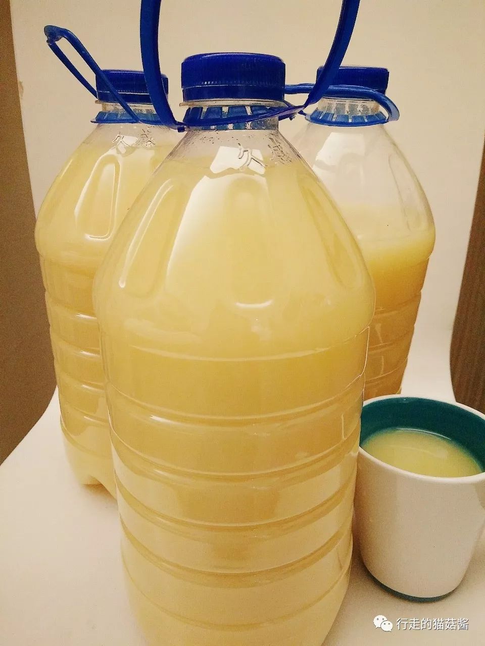 三天两夜的延吉,三天两夜延吉