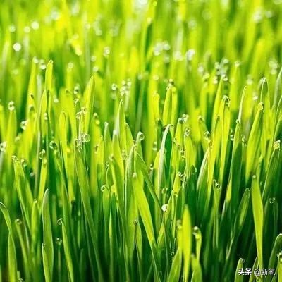 90后儿童的智商税,90后小时候智商税