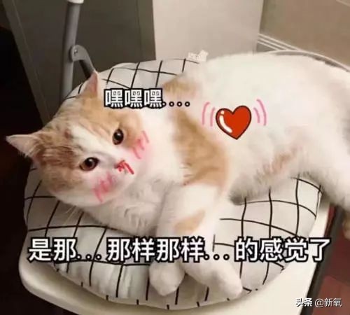 刘诗诗怀孕期间皮肤,刘诗诗怀孕秘闻