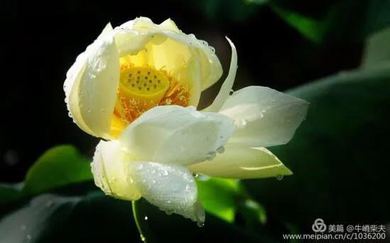 经典禅诗,充满哲学的诗词