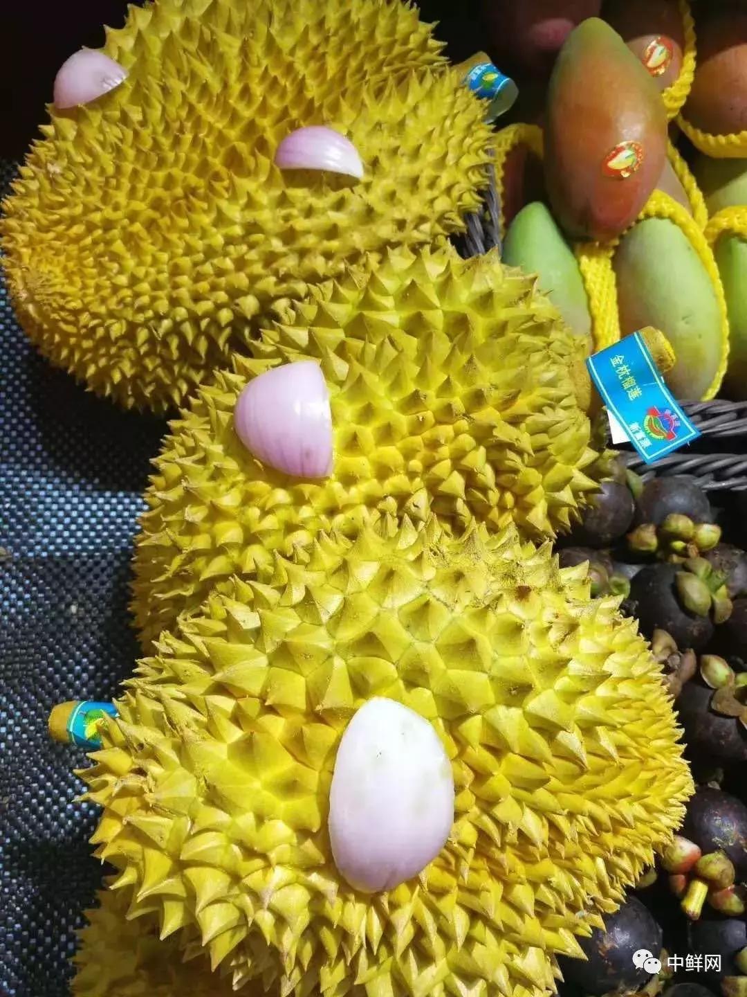 水果生飞虫难治？防治果蝇的实用方法