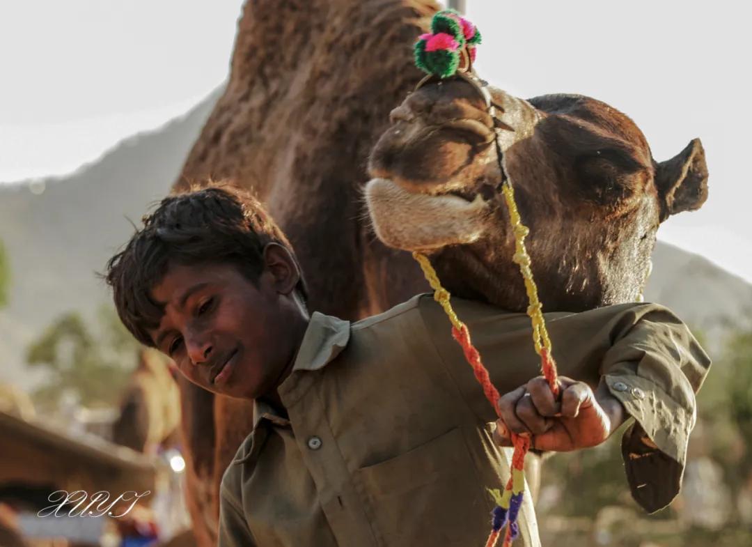 津门网徐屹：印度骆驼节上的人们（上）
