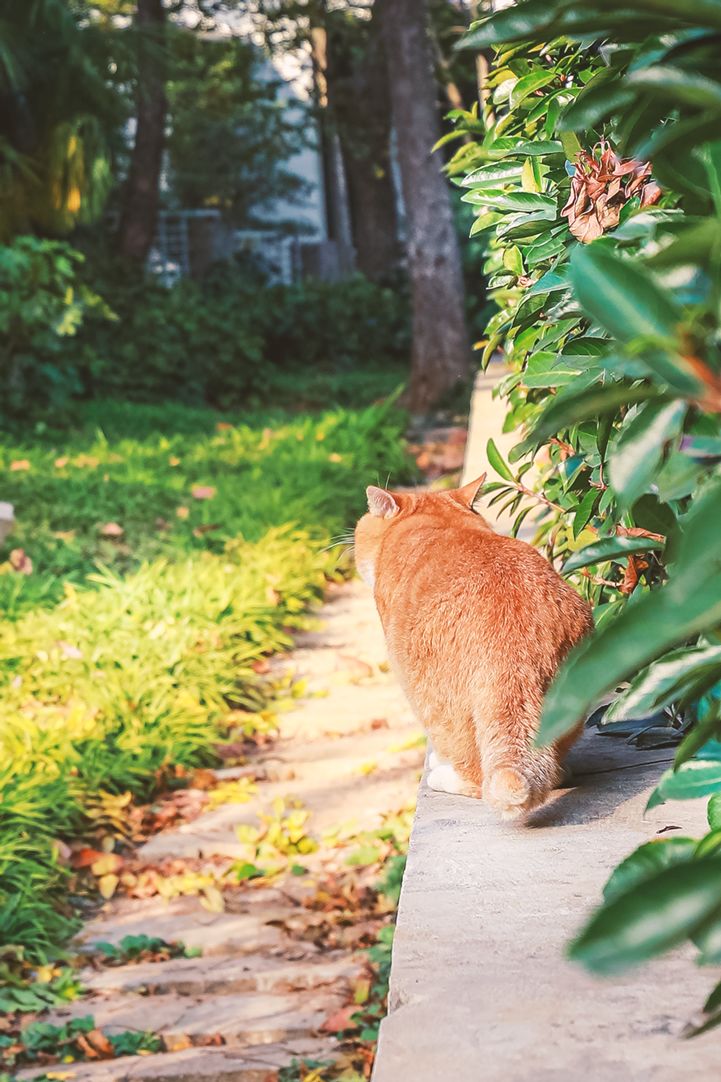 最漂亮的雨花台,雨花台风景太美了