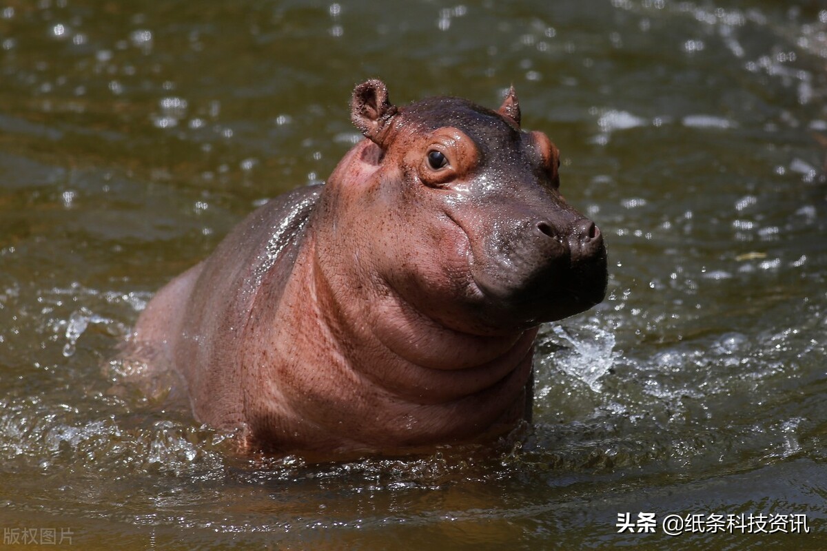 17个惊人冷知识,22个冷知识