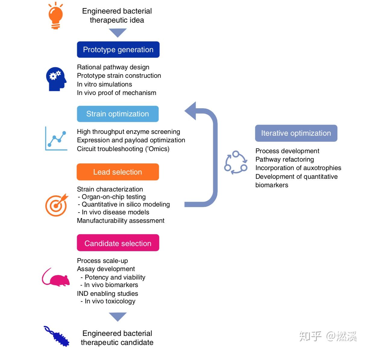 产生电的细菌丨工程微生物“合作者”丨微生物治疗疾病
