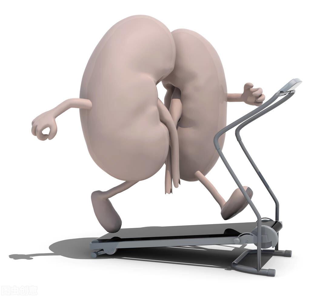 没有肾水如何补,几种补肾虚肾精的方法