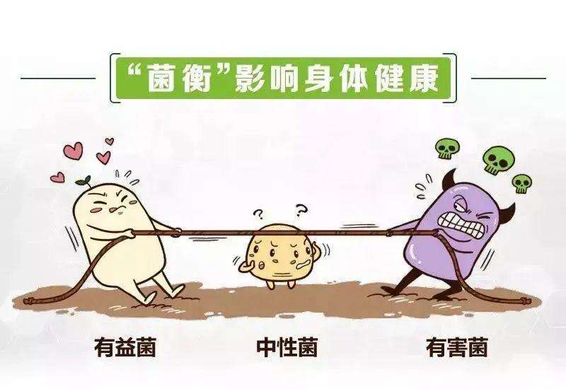 打破行业固态,悦年轻益生元为女性健康补充益生菌