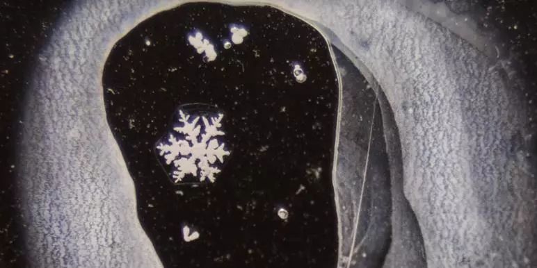 生活大爆炸真的完结了吗,生活大爆炸什么时候完结