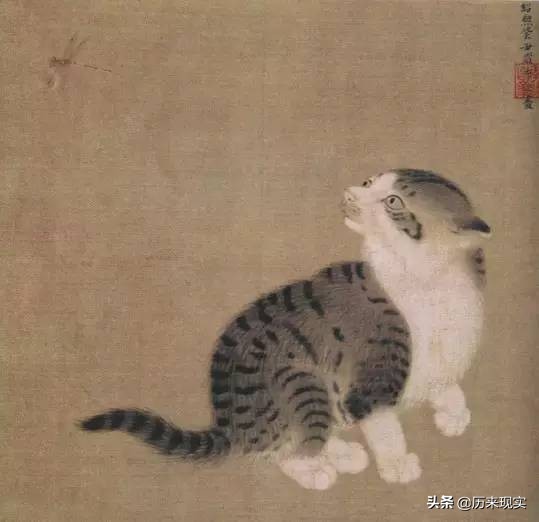 人类漫长的历史上,喵星人虽然受过冤屈*害迫**,但宠爱总多上几分