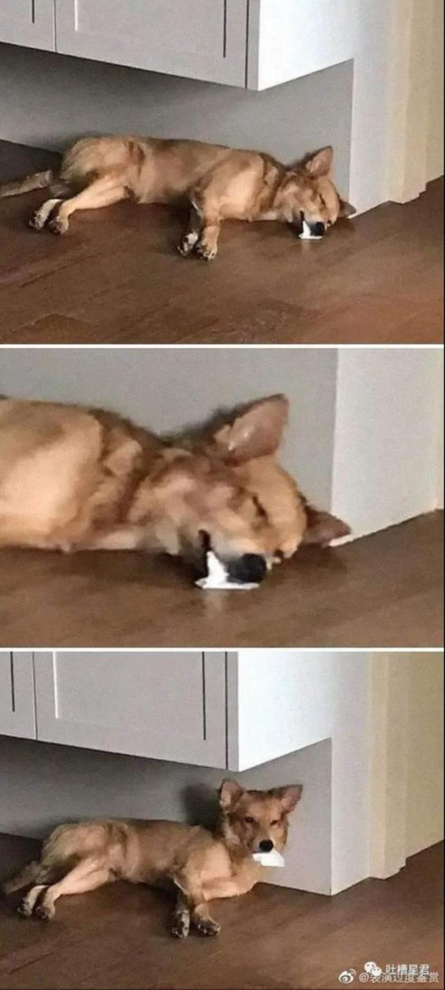 女生八块腹肌练成记录,大一女学生练出八块腹肌