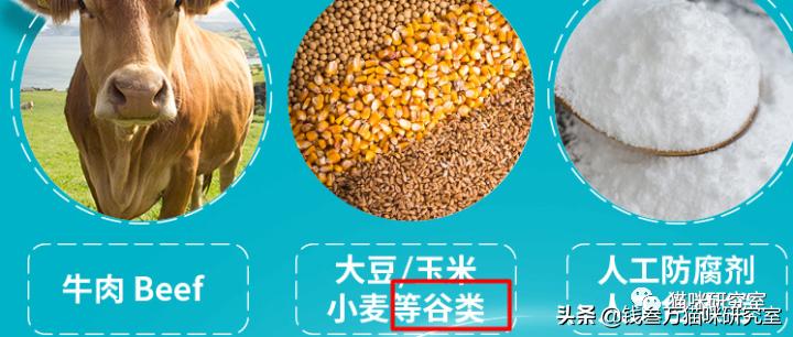 耐吉斯猫粮国产,台湾耐吉斯猫粮