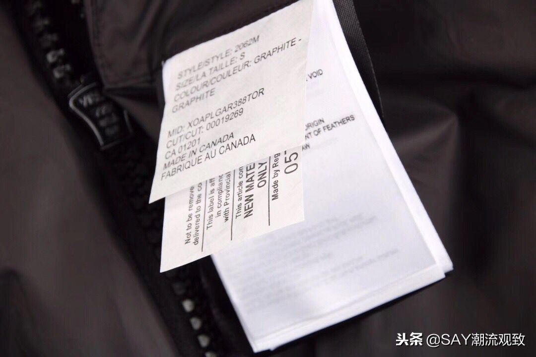 大鹅怎么出名的,今年为什么流行大鹅羽绒服