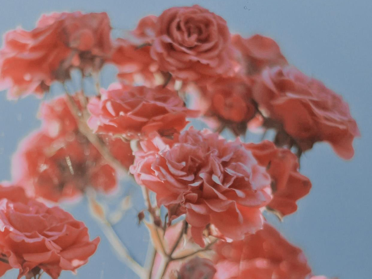 真正完美的爱情是怎样的,真正好的情人关系是怎么样相处