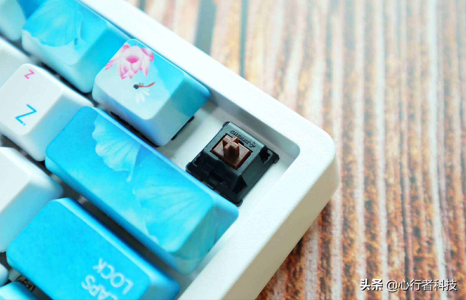 蜻蜓点水立指尖——黑爵蜻蜓键茶轴体验