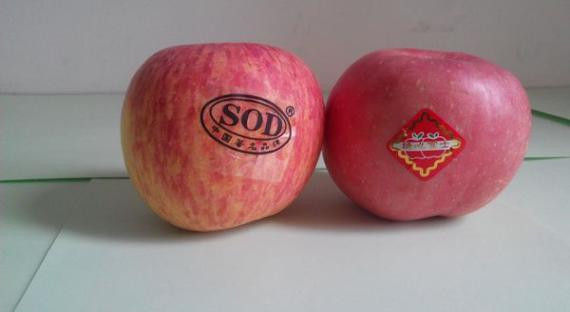 爱玩跨界的水果大王——苹果（介绍水果的小课件）