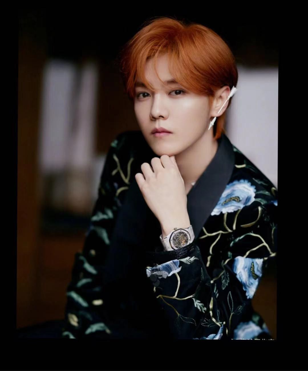 鹿晗珠宝 (鹿晗代言的三个顶级奢侈品)