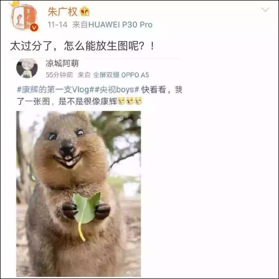 央视boys出道单曲首秀，最有文化的音乐节目回来了