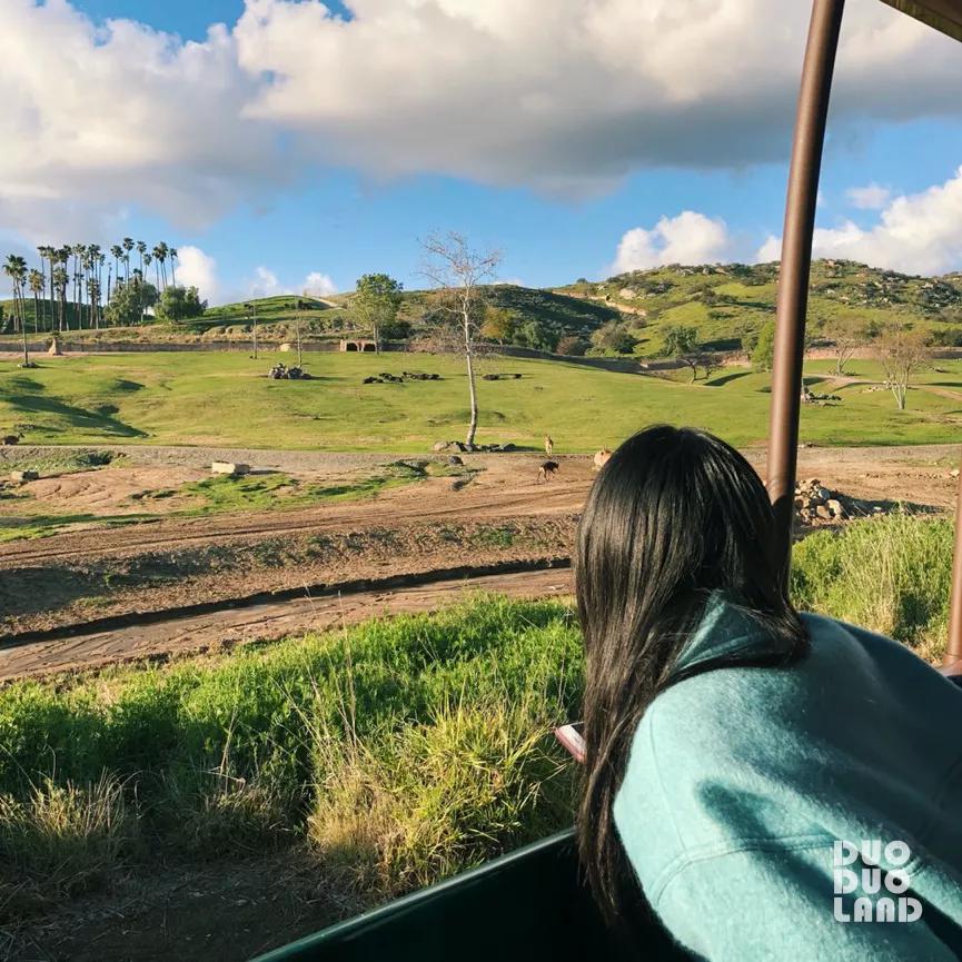 多·样|Evelyn:那些来自大自然的馈赠,原来都在旅行的日子里