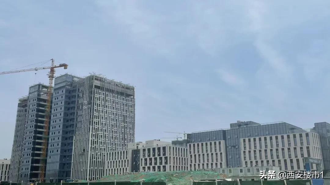 保利和中南哪个更好,南保利和北保利的区别