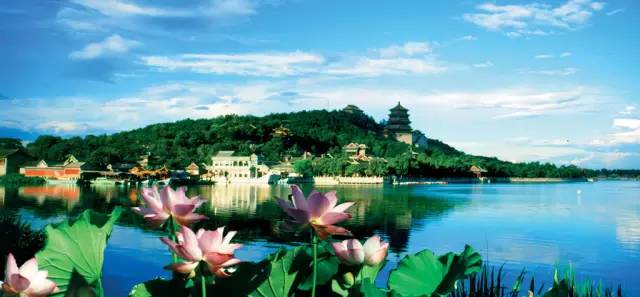 北京赏荷,了解十大赏荷胜地