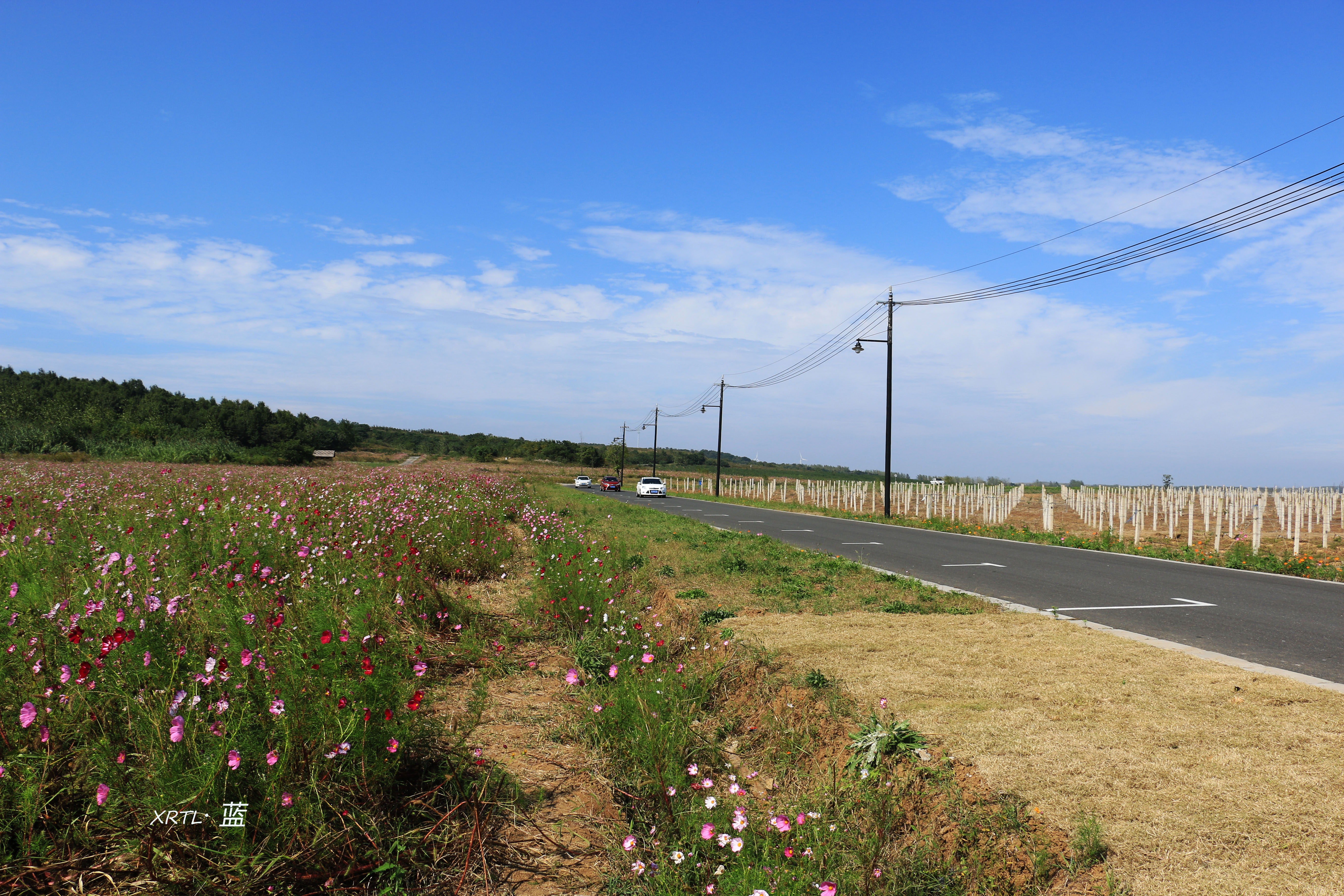 南京周边一天半游的绝佳去处,疫情后南京出游