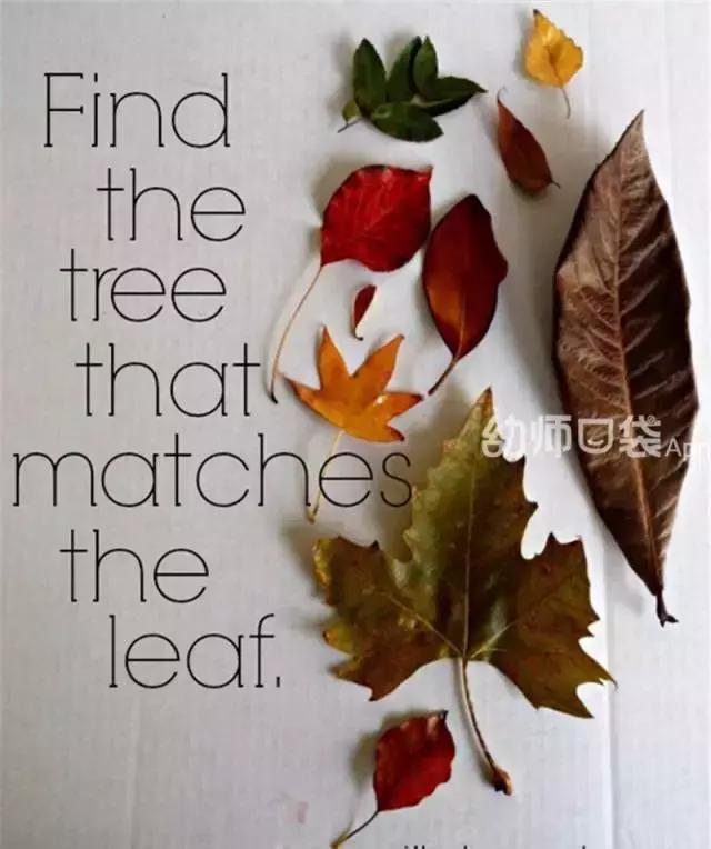 绉嬪ぉ涓婚鍖哄煙娲诲姩璁捐鏂规,绉嬪ぉ涓婚璇剧▼娲诲姩鏂规璁捐