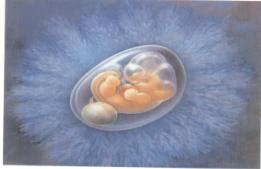 细胞美容学之父——张红凯博士