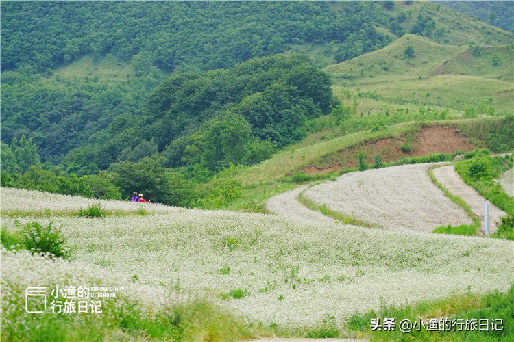 藏在秦岭深处的世外秘境,藏在西安秦岭里的桃源秘境