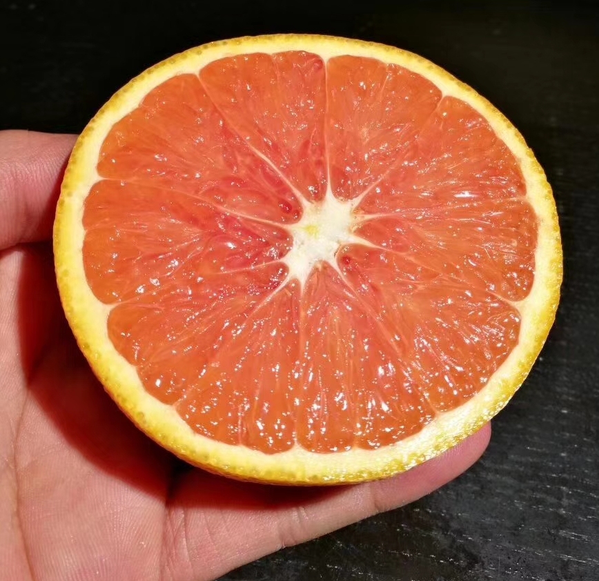 全球十大名橙排名,国内外名橙