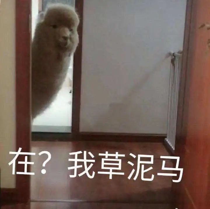 说唱套路原版,说唱入门教学属于什么风格