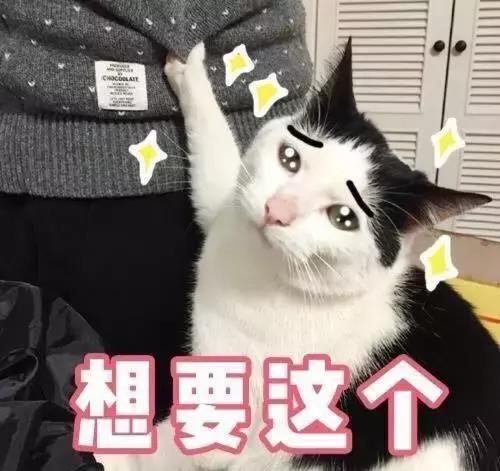 泫雅和杨幂都穿的打底衫,杨幂从四个花旦到巨星