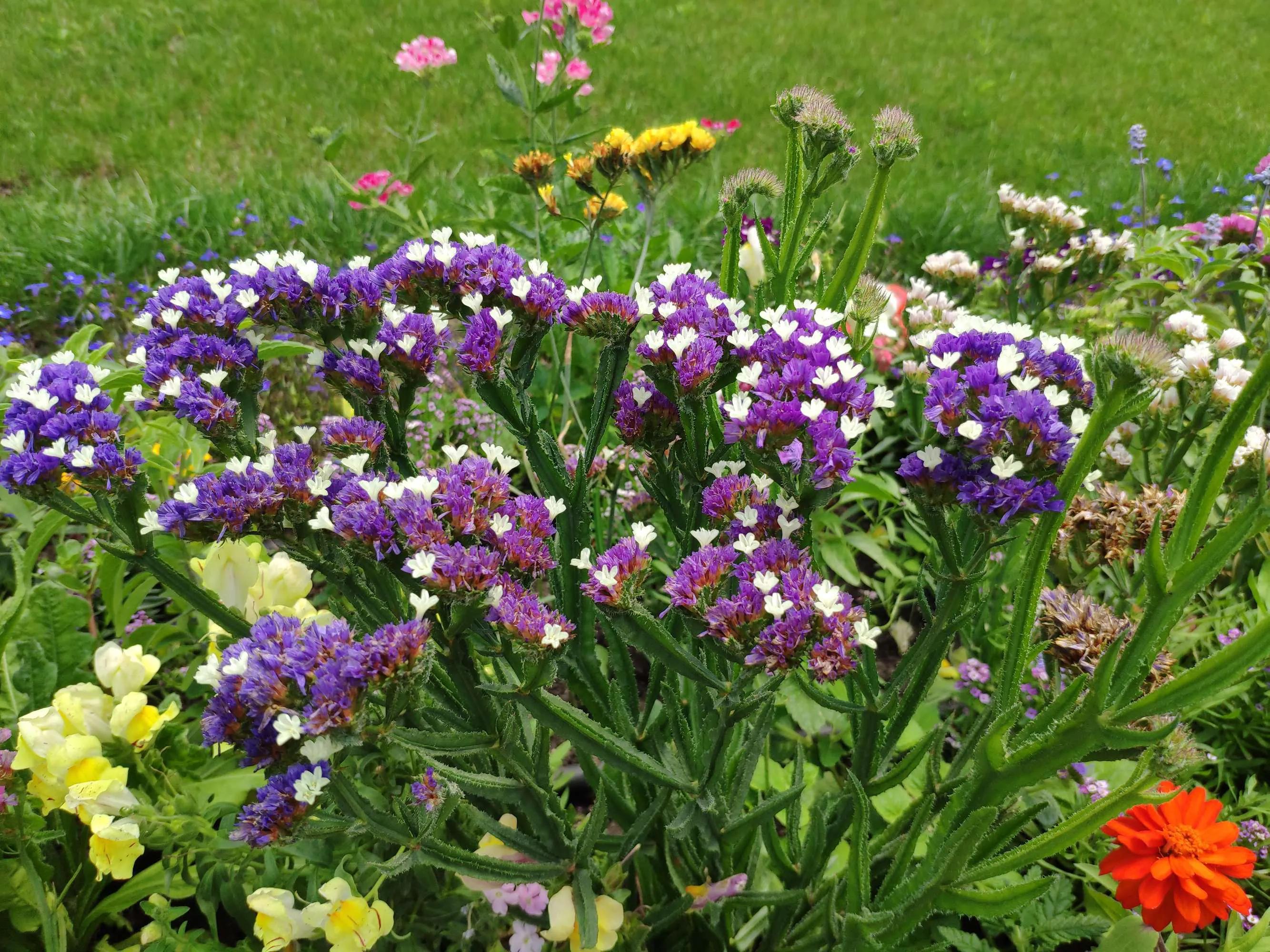 自驾格鲁吉亚阿塞拜疆,自驾入境格鲁吉亚