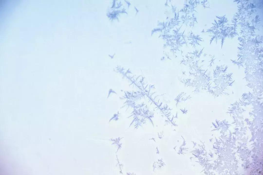 逼单、婚托、会员信息虚假……珍爱网、百合网的红娘伎俩