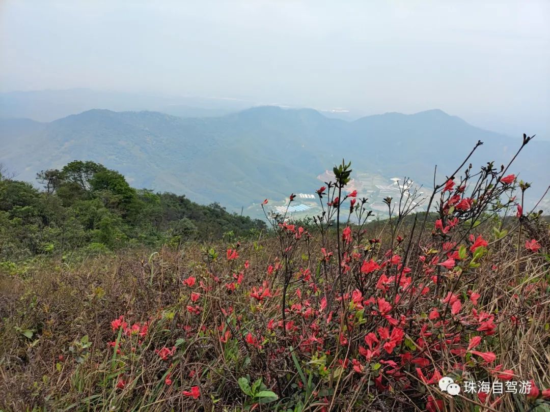 江门鹤山昆仑山徒步路线,鹤山昆仑山徒步行走路线