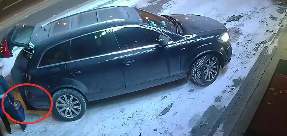 开豪车偷路边花盆,郑州男子开奥迪偷东西