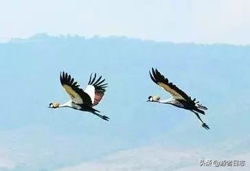 崆峒山推荐,崆峒山最值得去的景点
