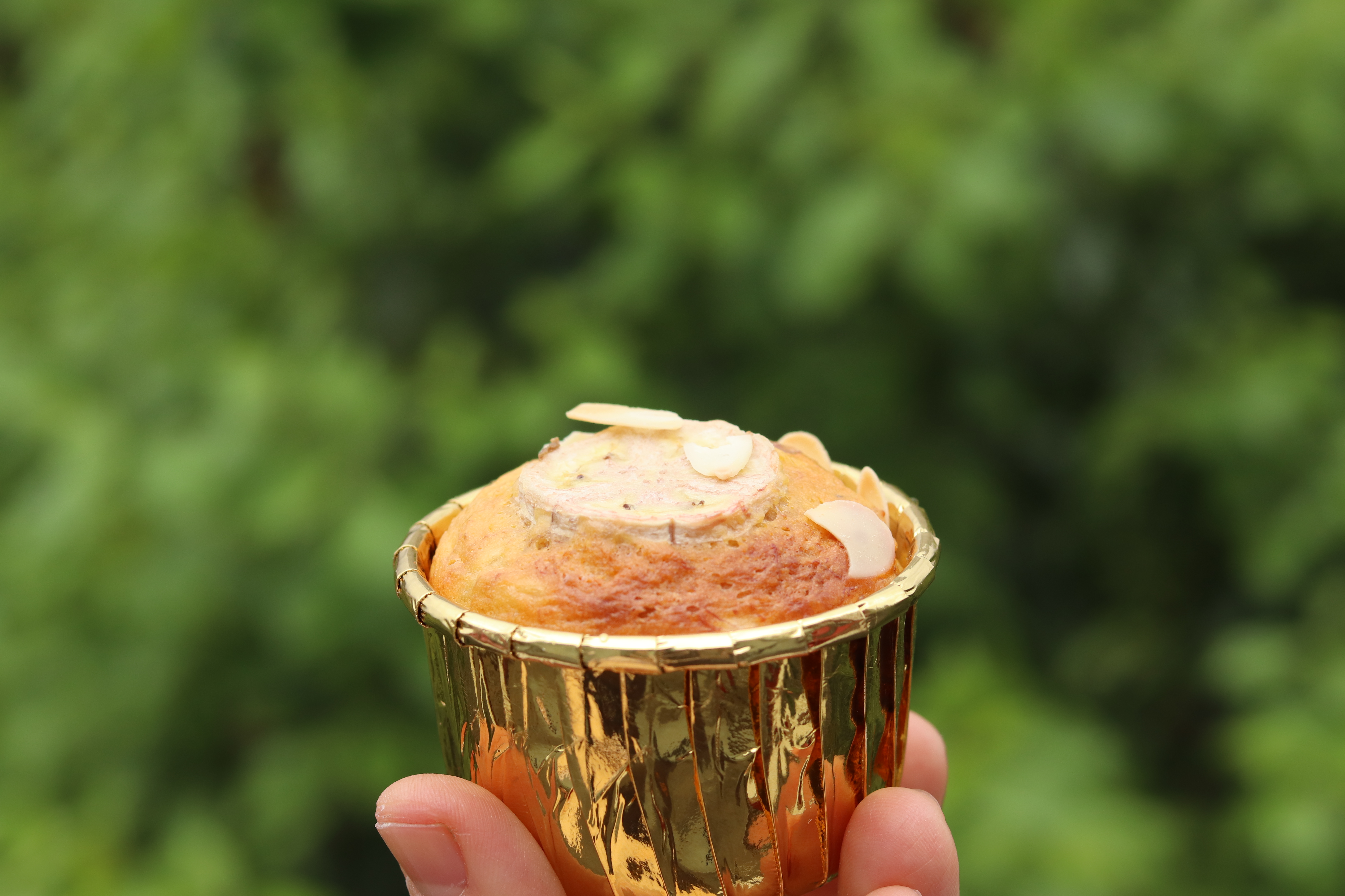 简单易学无糖无油不用烤箱做蛋糕,不用烤箱无需打发的纯牛奶小蛋糕