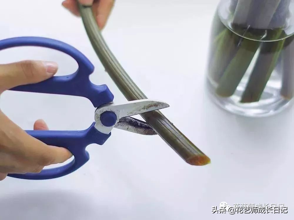 开花店花材损耗,花店新到花材如何打理