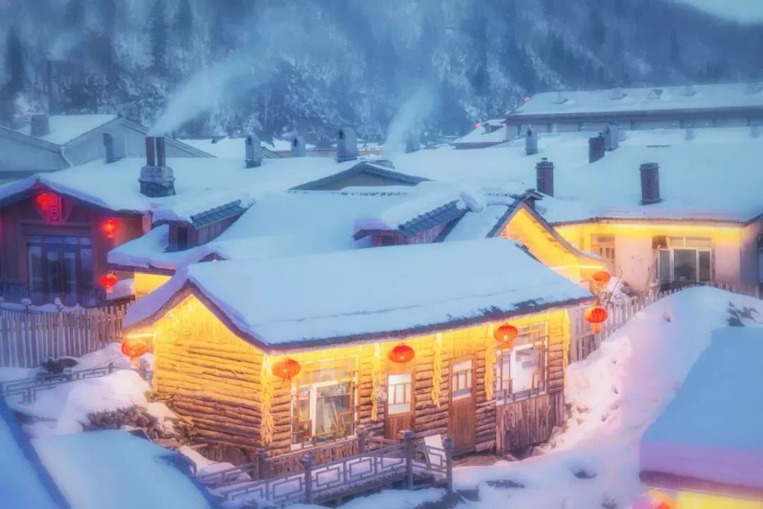 哈尔滨冰雪世界研学,新启元厦门暖冬研学营