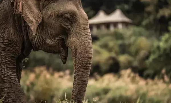世界上最好的度假村,世界上最偏远的岛屿旅游