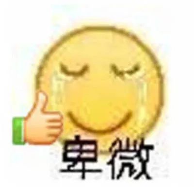 在日本人的中二世界里，PDD大概会成为“世界第一骚豚”