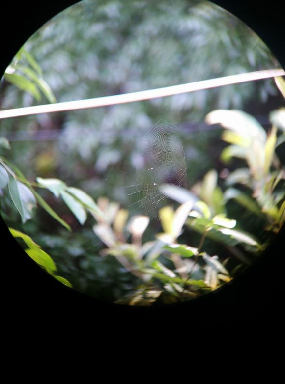 宾得1036望远镜怎么样,宾得ad1036wp好吗